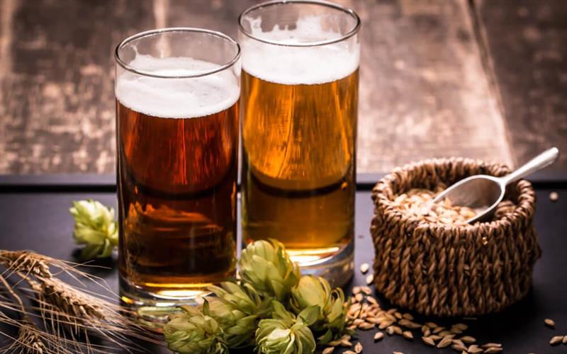 Cervejas artesanais: 6 dicas para os iniciantes cervejeiros