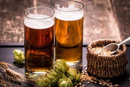 Cervejas artesanais: 6 dicas para os iniciantes cervejeiros